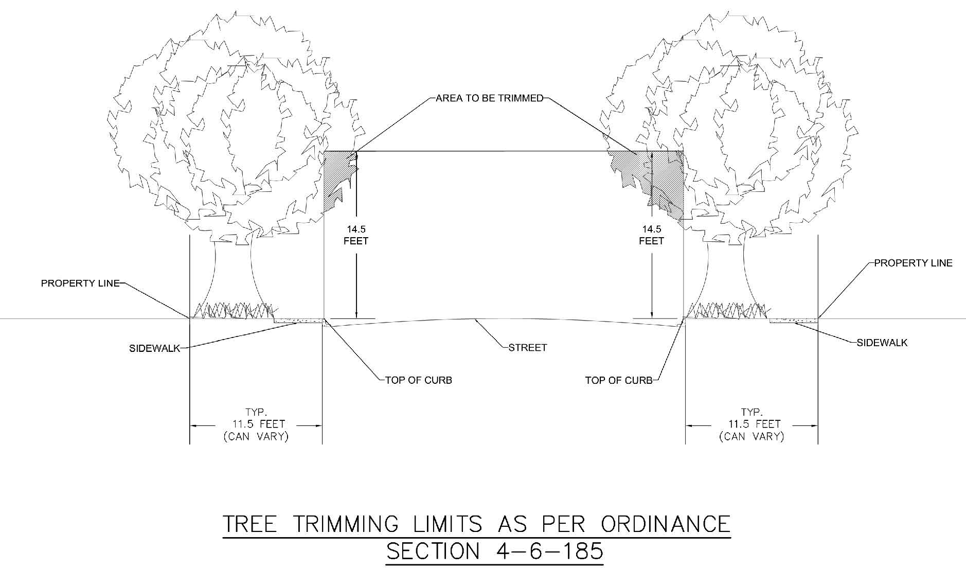 City Ordinance Graphic