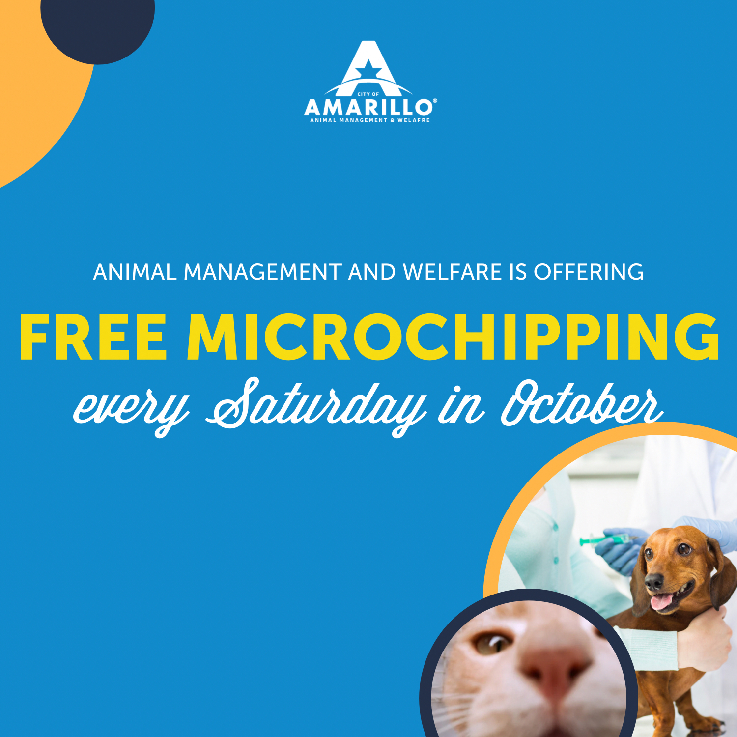 October Microchip Campaign