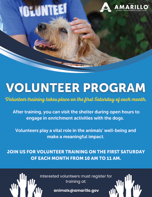 Volunteer Flyer