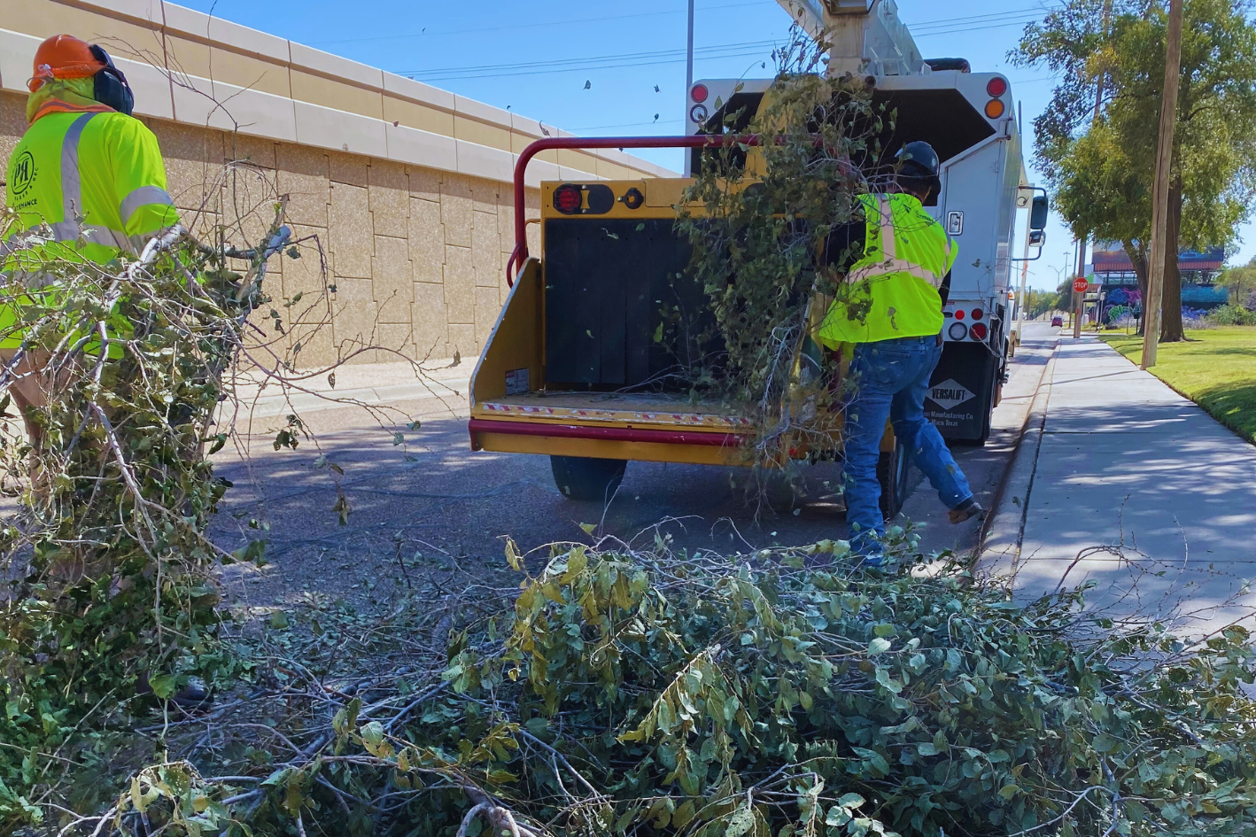 park maintenance tree trimming